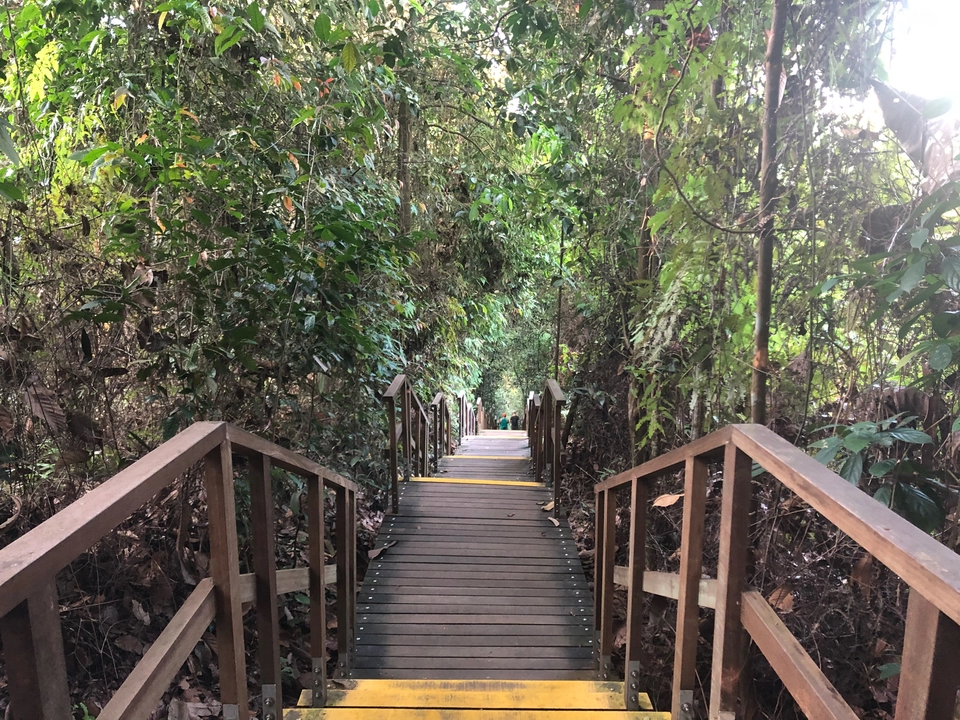 Photo of MacRitchie Reservoir, Singapore by Marigold Odyssey