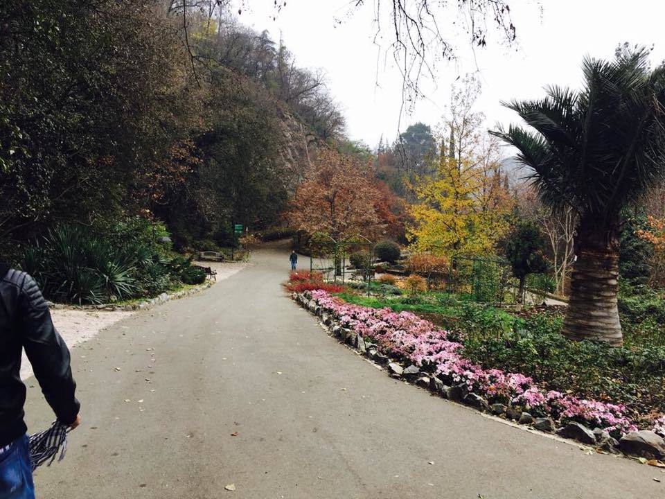 Photo of Mini Vacation in Georgia by Amit Chauhan