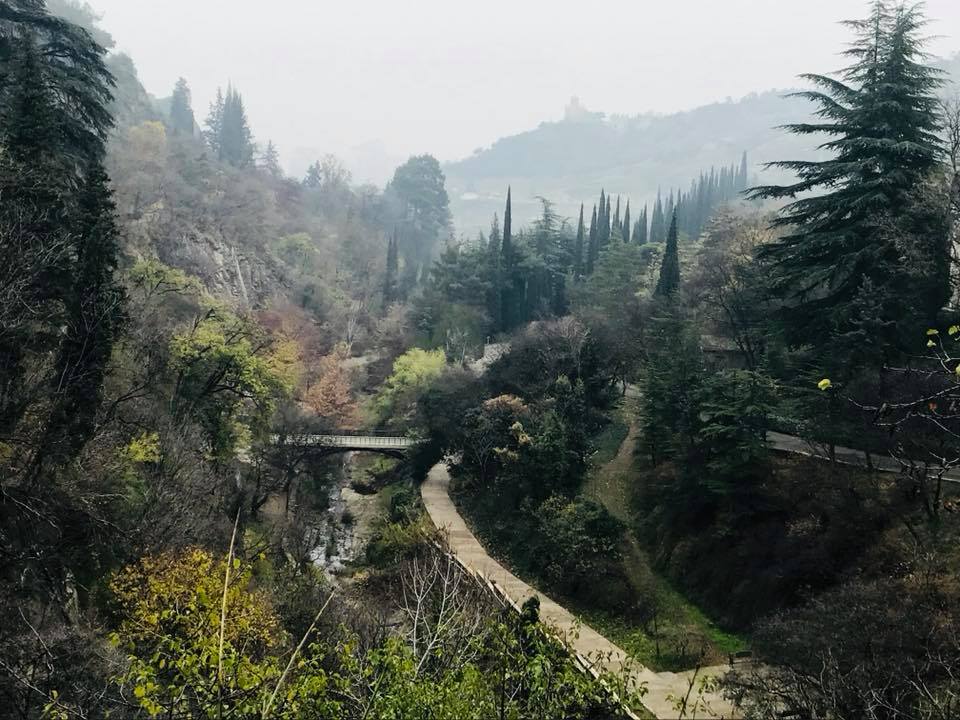Photo of Mini Vacation in Georgia by Amit Chauhan