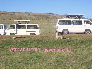 Photo of Save up to $ 100 to Masai Mara for a group of four & above @ USD 350 & Ksh. 14, 500. call 0710798172 8/10 by Abednegoh Kasuki