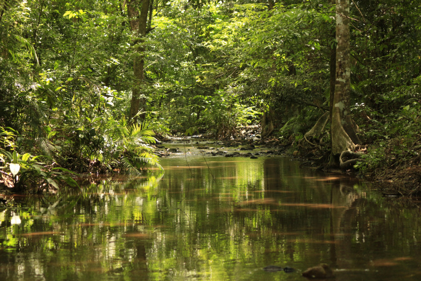 Photo of Rosemala, Kerala, India by Anusree Koottungal