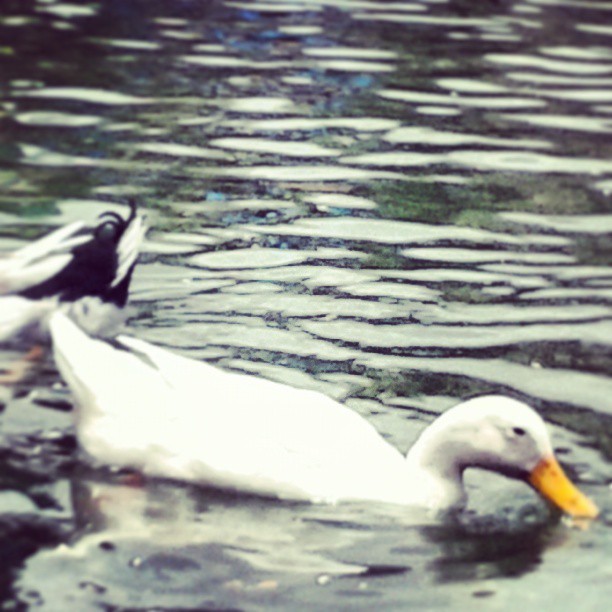 Photo of Chilling, Clicking, hogging, loving trip to Lavasa 16/22 by Alisha Nanda