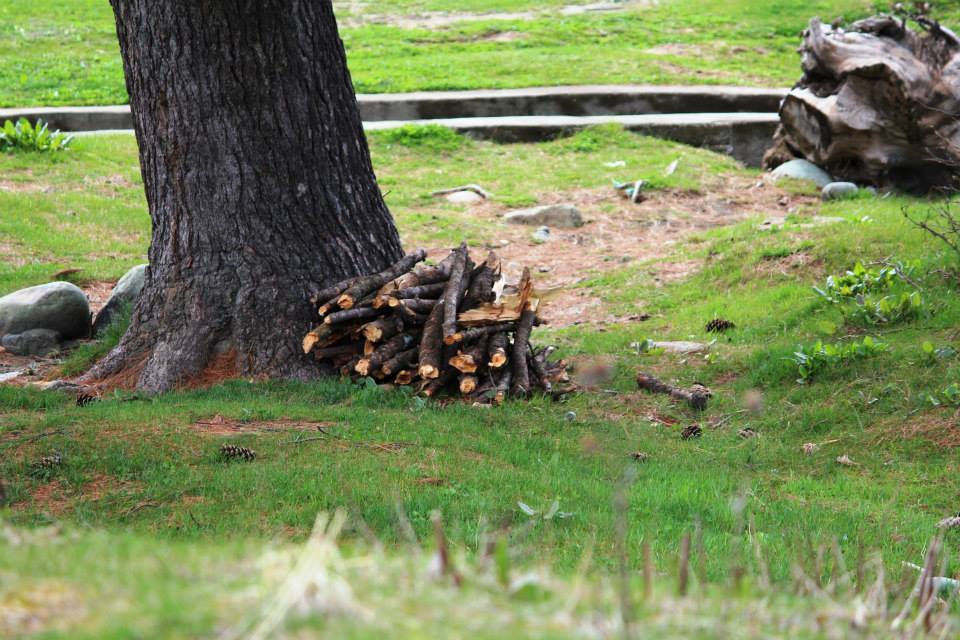 Photo of Pahalgam (Paradise Awaiting) by Jibran Khan