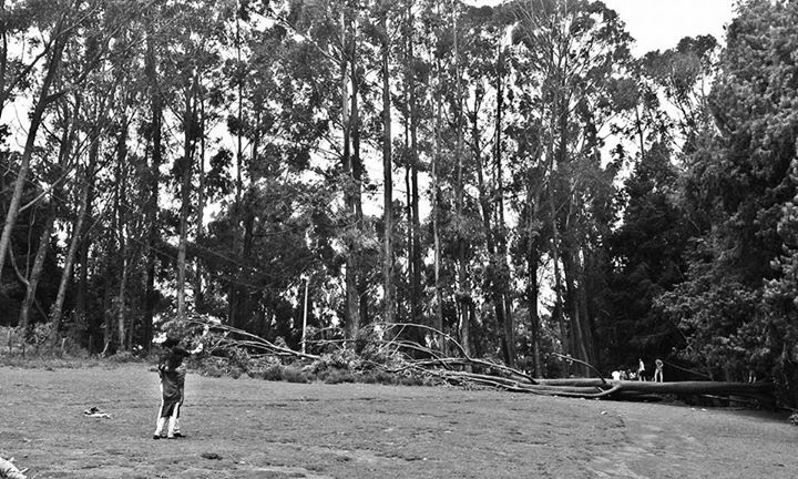 Photo of Dreamers Home- Queen of Hills Ooty 12/20 by wee_gypsy_soul