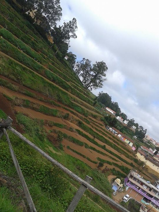 Photo of Dreamers Home- Queen of Hills Ooty 8/20 by wee_gypsy_soul