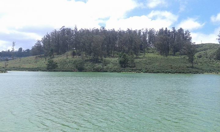 Photo of Dreamers Home- Queen of Hills Ooty 6/20 by wee_gypsy_soul