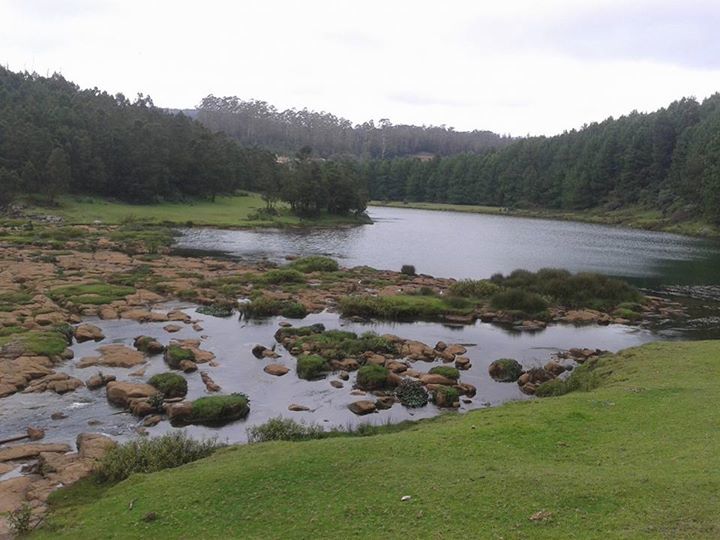 Photo of Dreamers Home- Queen of Hills Ooty 14/20 by wee_gypsy_soul