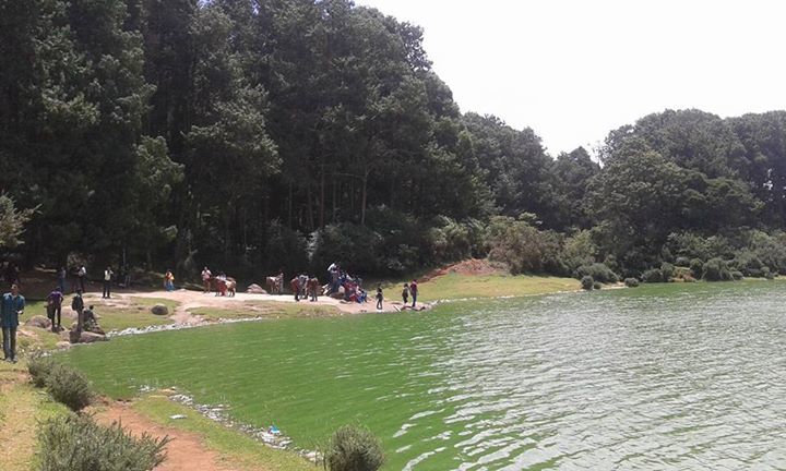 Photo of Dreamers Home- Queen of Hills Ooty 7/20 by wee_gypsy_soul