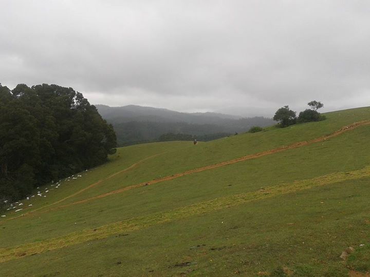 Photo of Dreamers Home- Queen of Hills Ooty 13/20 by wee_gypsy_soul