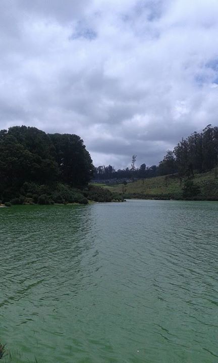 Photo of Dreamers Home- Queen of Hills Ooty 5/20 by wee_gypsy_soul