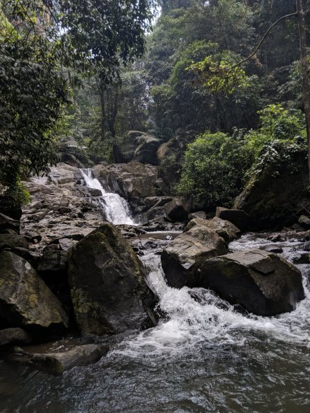 Photo of How an unplanned pit stop at a Heritage home ended up being an adventurous stay#westernghatsinphotos by Tanya Tiwari