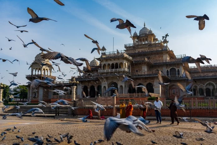 Photo of Albert Hall Museum, Ram Niwas Garden, Ashok Nagar, Jaipur, Rajasthan, India by thetravellerlens