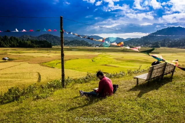 Photo of Ziro by Papiya Banerjee