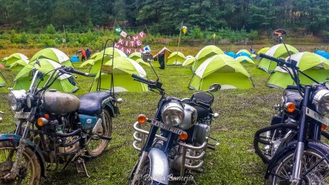 Photo of ZIRO FESTIVAL OF MUSIC - India's Tomorrow land - Curious Foots by Papiya Banerjee