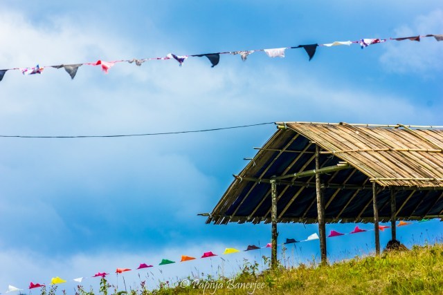 Photo of ZIRO FESTIVAL OF MUSIC - India's Tomorrow land - Curious Foots by Papiya Banerjee