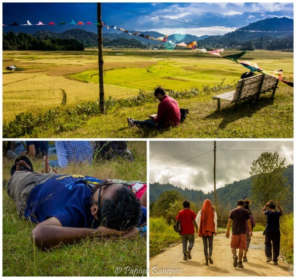Photo of ZIRO FESTIVAL OF MUSIC - India's Tomorrow land - Curious Foots by Papiya Banerjee