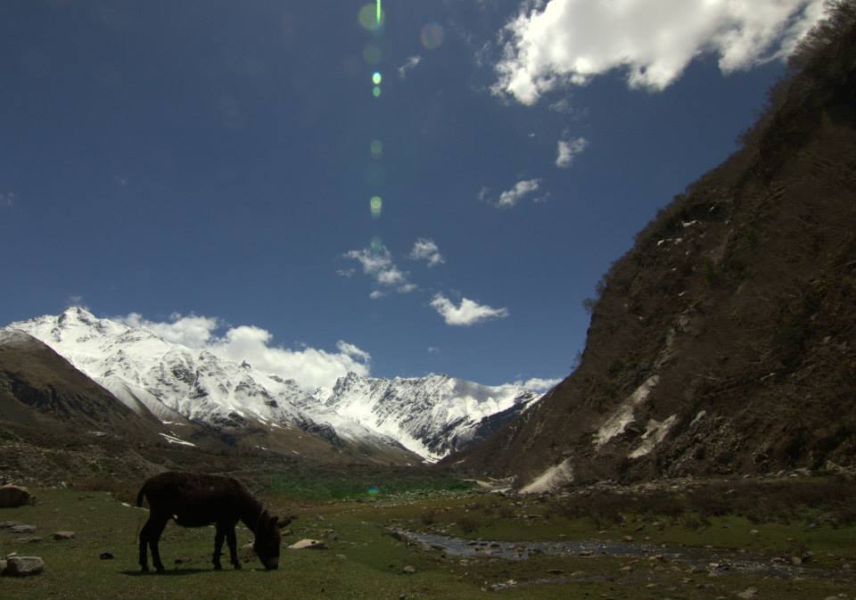Photo of To be Solo or not be Solo! 39/64 by Arjun Sehrawat