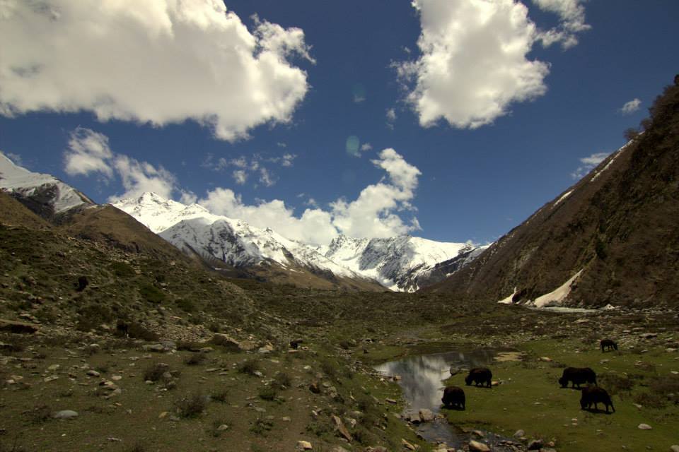 Photo of To be Solo or not be Solo! 44/64 by Arjun Sehrawat