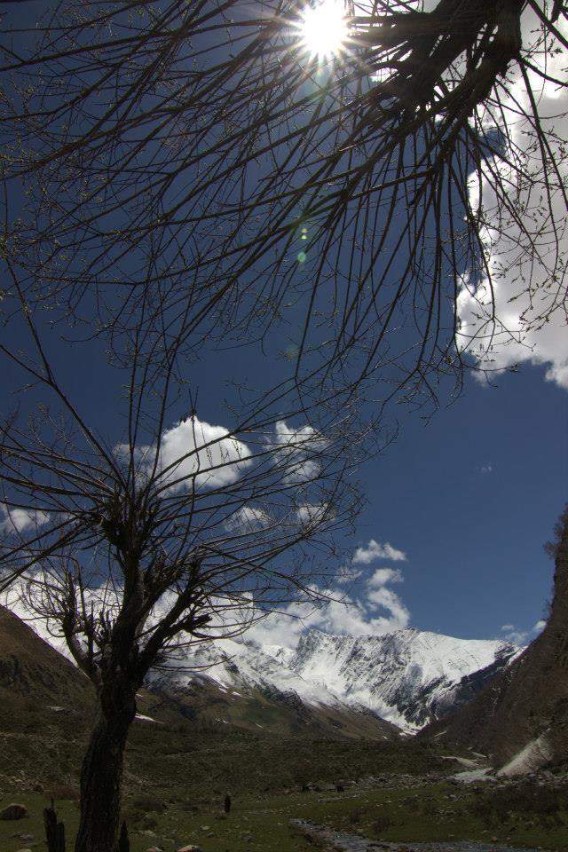 Photo of To be Solo or not be Solo! 41/64 by Arjun Sehrawat
