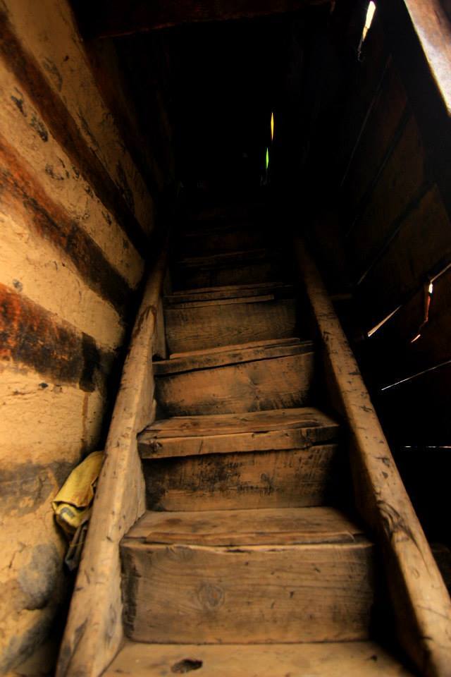 Photo of To be Solo or not be Solo! 16/64 by Arjun Sehrawat