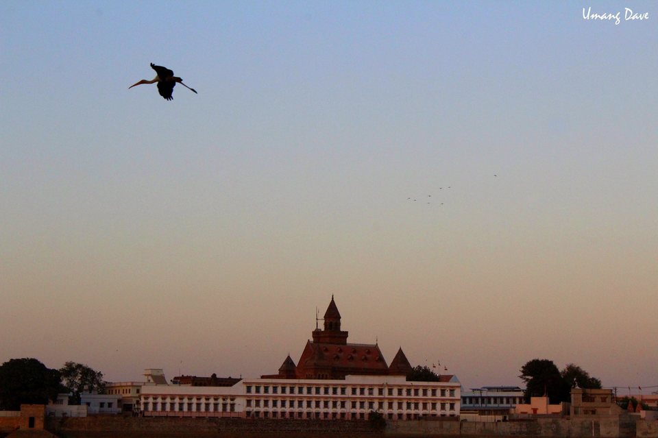 Photo of Bhuj, Gujarat, India by Umang Dave