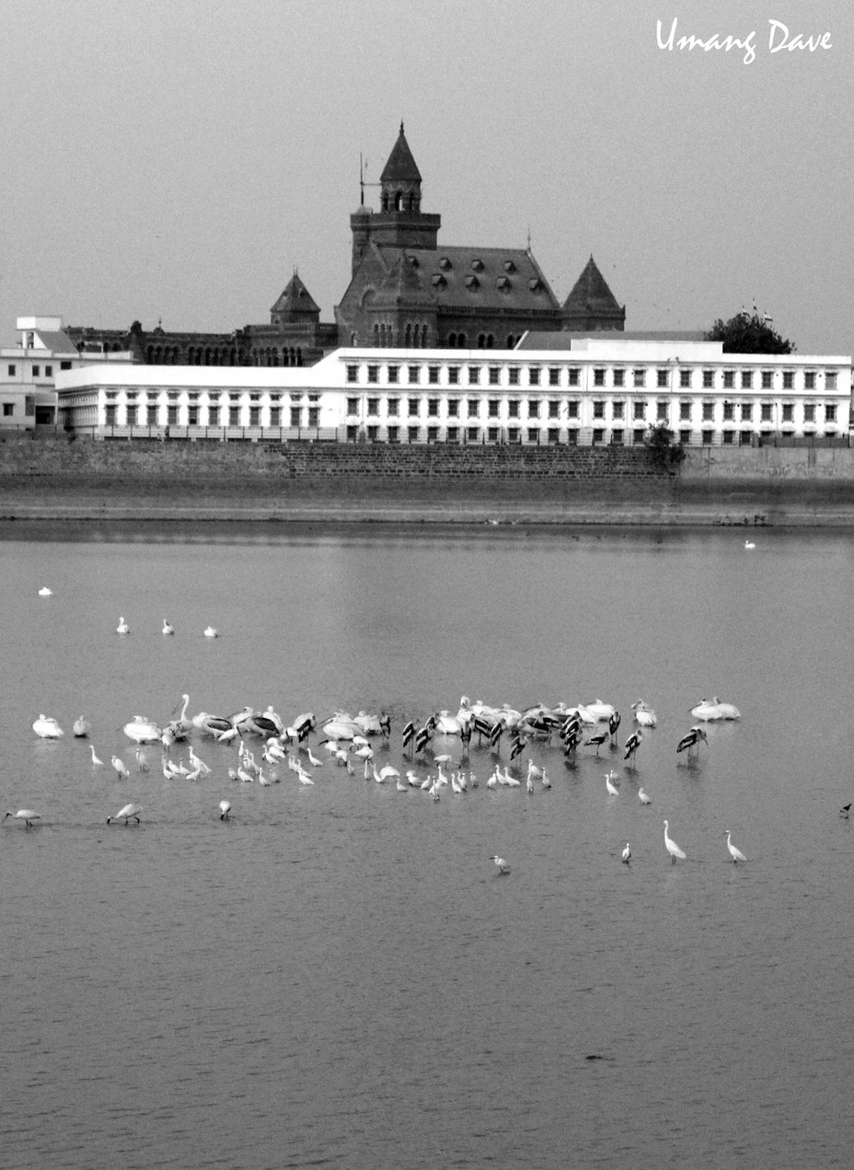 Photo of Bhuj, Gujarat, India by Umang Dave
