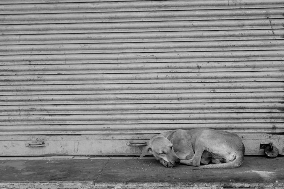 Photo of INSTAMEET Rajkot - Jubilee Market 48/60 by Umang Dave (IG: @umangdavevisual)