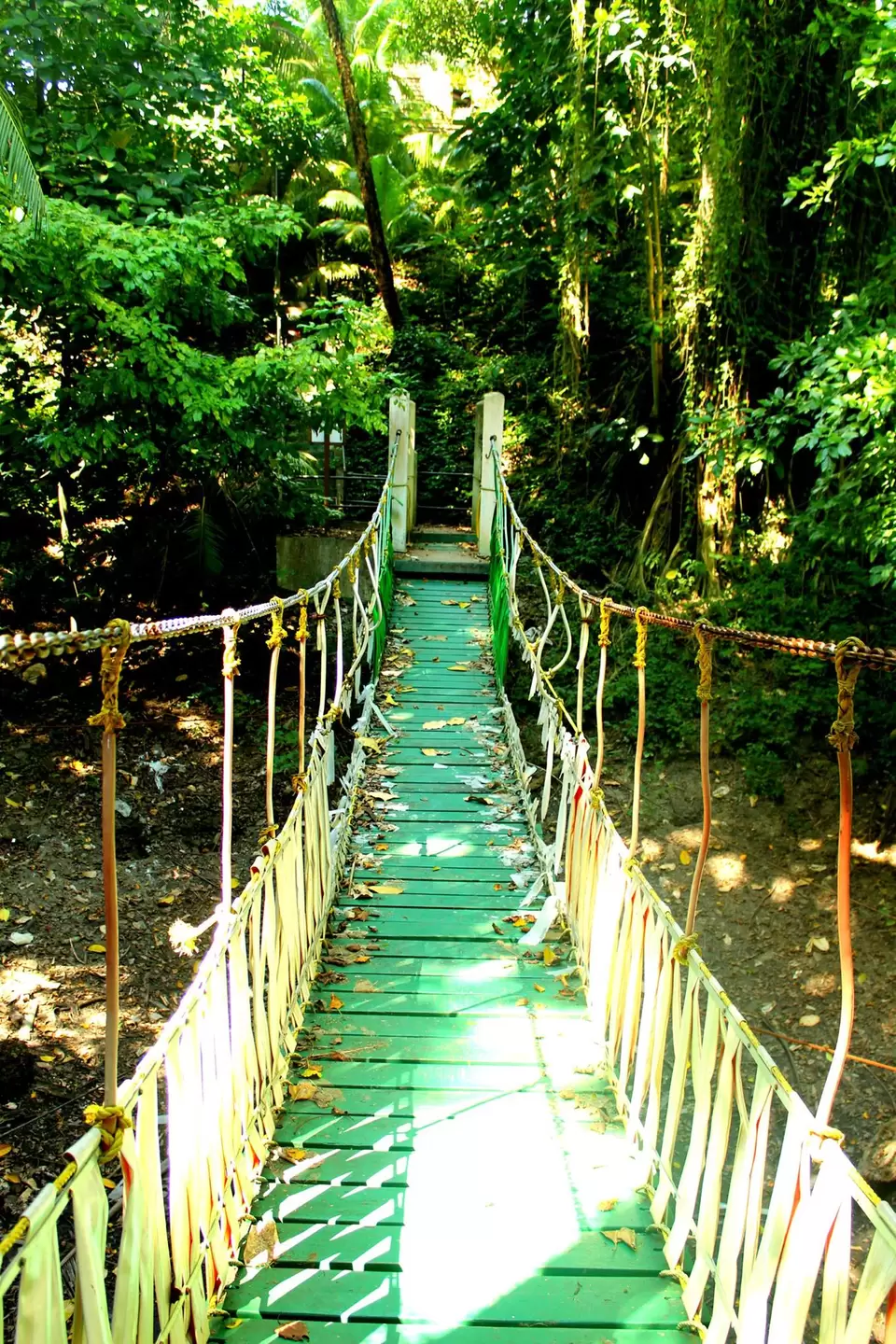 Photo of Chatham Saw Mill, Haddo, Port Blair, Andaman and Nicobar Islands, India by Malay Majithia