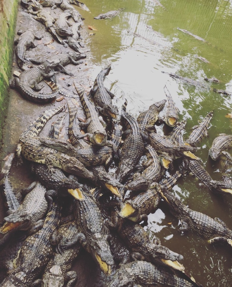Photo of Vietnam- Why to visit Ho Chi Minh City!!! by Desi Gypsy