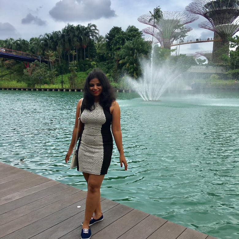 Photo of Visit Singapore For Amazing Experience. Here’s Guide For You!!! 3/25 by Desi Gypsy