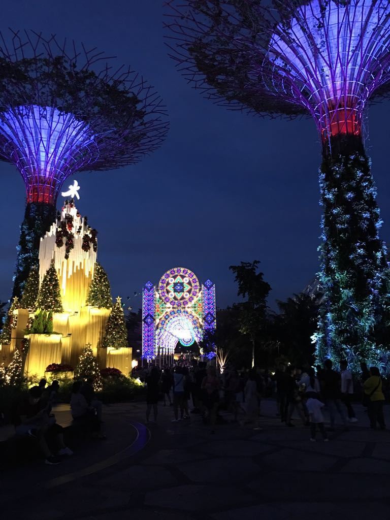 Photo of Visit Singapore For Amazing Experience. Here’s Guide For You!!! 5/25 by Desi Gypsy