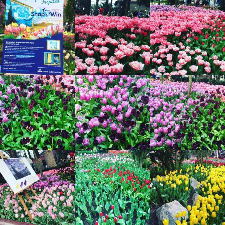 Photo of Visit Singapore For Amazing Experience. Here’s Guide For You!!! 4/25 by Desi Gypsy