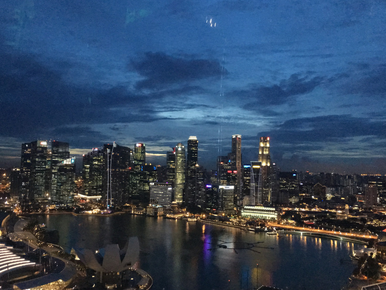 Photo of Visit Singapore For Amazing Experience. Here’s Guide For You!!! 7/25 by Desi Gypsy