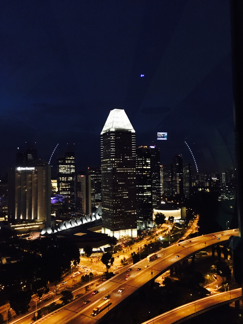 Photo of Visit Singapore For Amazing Experience. Here’s Guide For You!!! 11/25 by Desi Gypsy