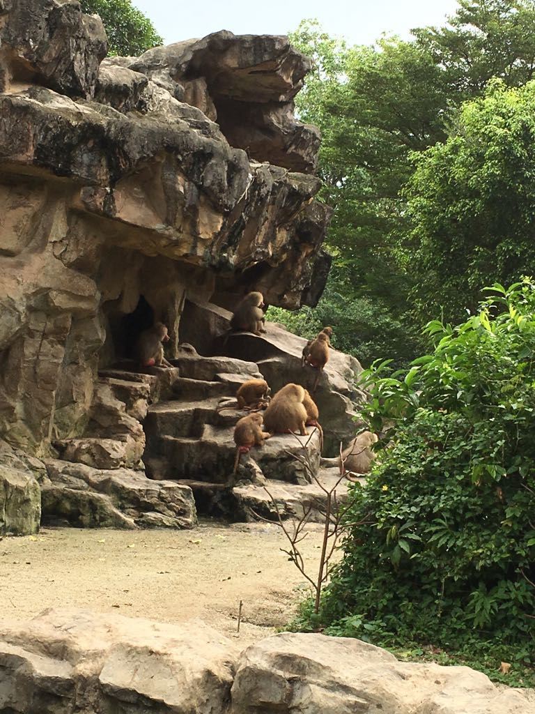 Photo of Visit Singapore For Amazing Experience. Here’s Guide For You!!! 13/25 by Desi Gypsy