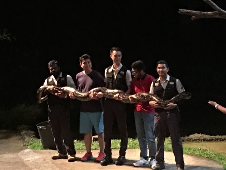 Photo of Visit Singapore For Amazing Experience. Here’s Guide For You!!! 16/25 by Desi Gypsy