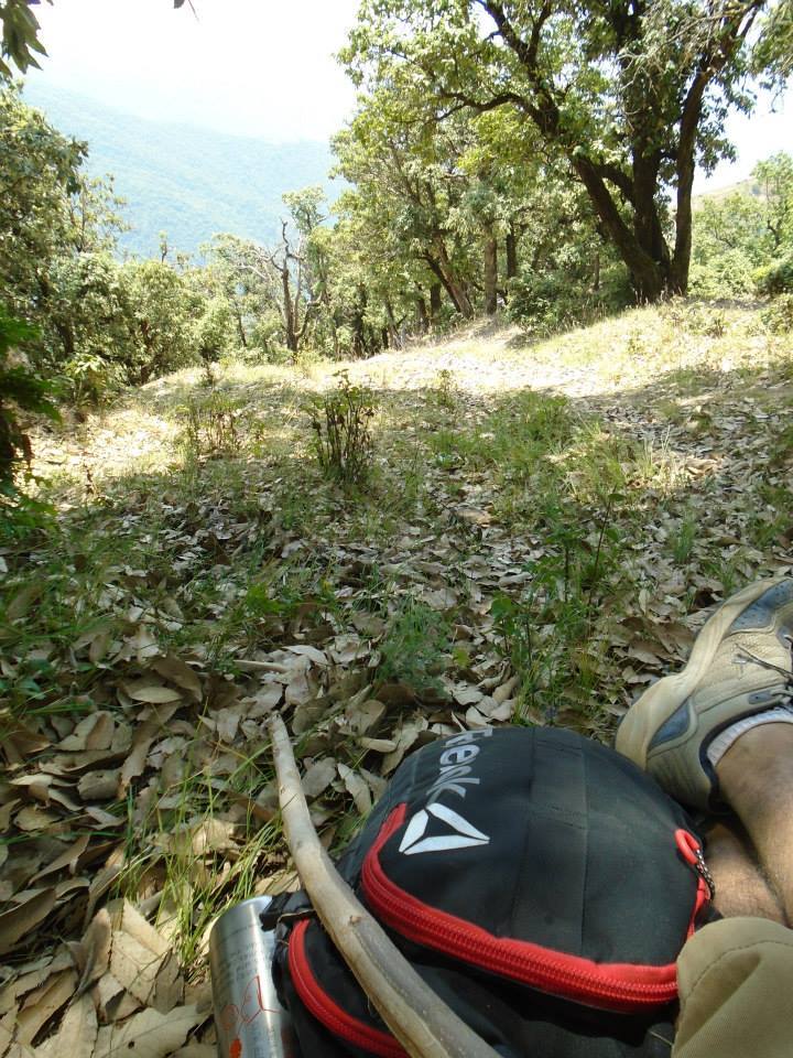 Photo of The solo trek with fear and hope – Nag Tibba 5/11 by Nikhil Jain