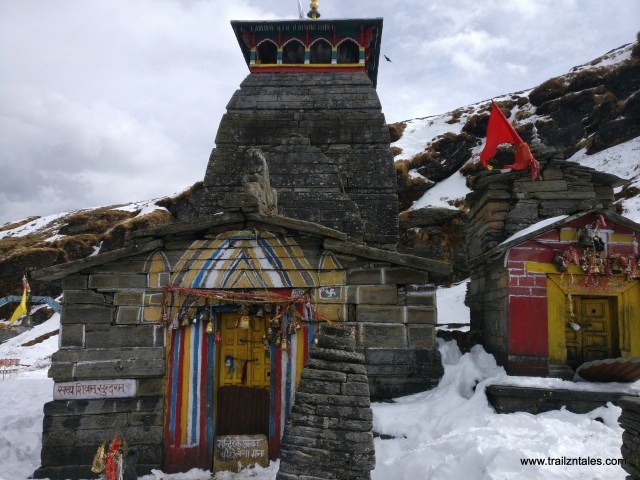 Photo of Chopta- The winter trail by tanzeel