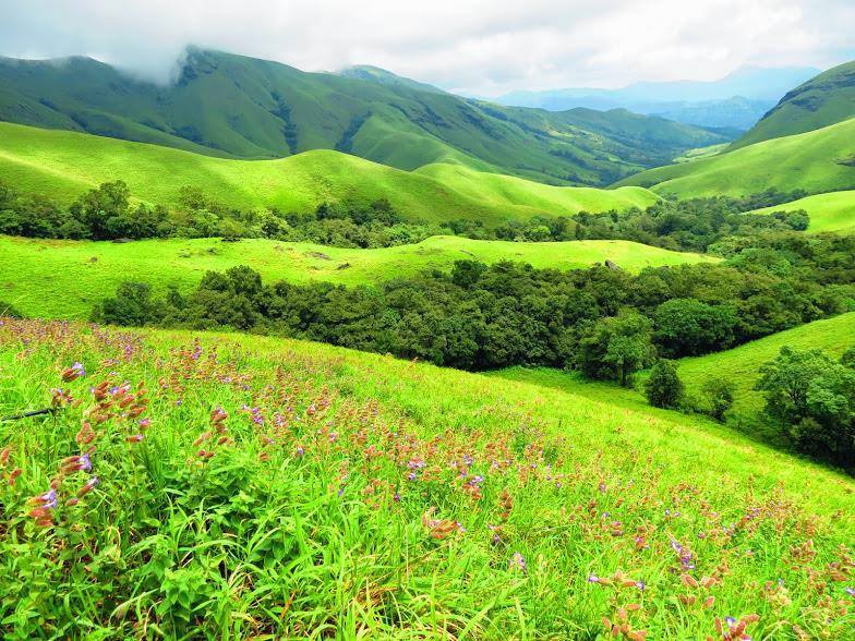 Photo of Trek to the Horse's face - Kudremukh 2/36 by Akhil Bhat