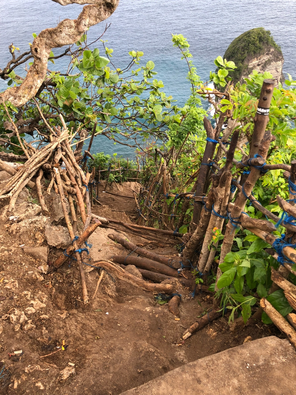 Photo of Kelingking Beach, Bunga Mekar, Klungkung Regency, Bali, Indonesia by Anamika Sharma