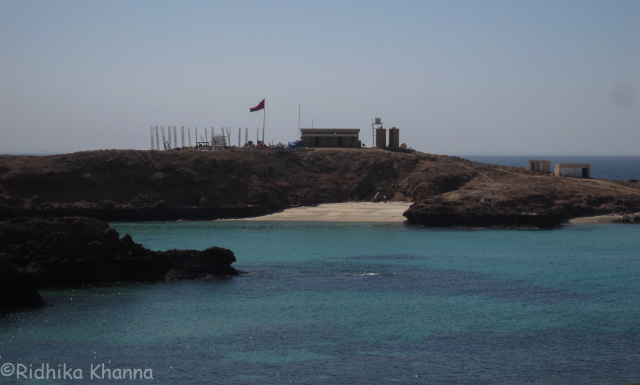 Photo of What Diving in a Nature Reserve Site Looks Like.... Diving in Gulf of Oman by Ridhika Khanna