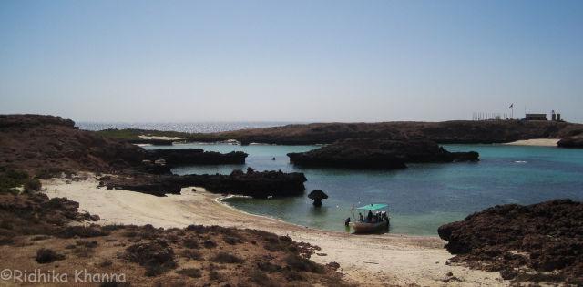 Photo of What Diving in a Nature Reserve Site Looks Like.... Diving in Gulf of Oman by Ridhika Khanna