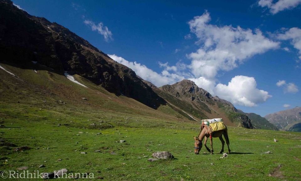 Photo of RUPIN PASS: AN INTIMATE EXPERIENCE OF A TRANS HIMALAYAN TREK! 26/45 by Ridhika Khanna