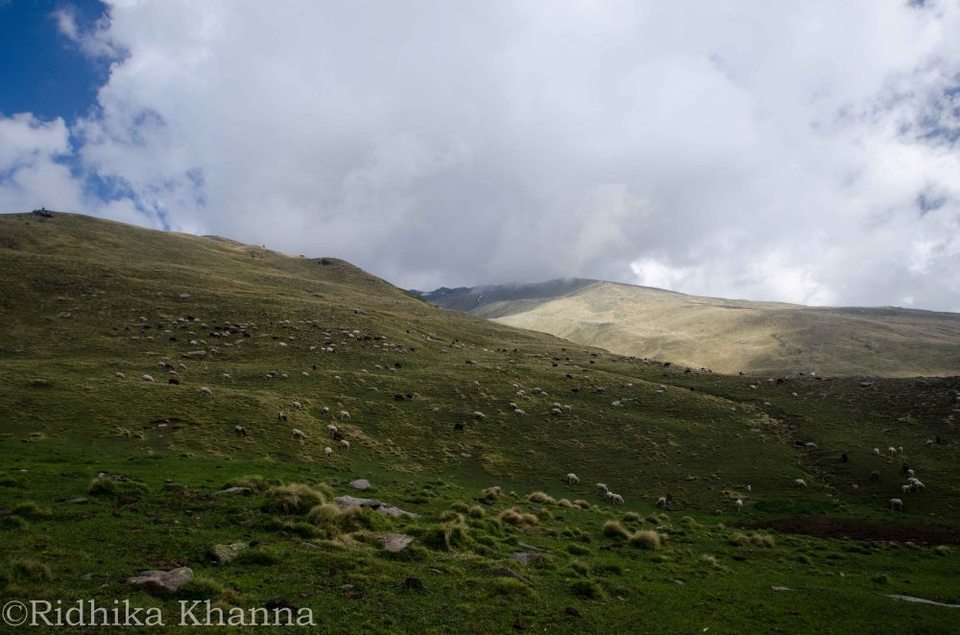 Photo of RUPIN PASS: AN INTIMATE EXPERIENCE OF A TRANS HIMALAYAN TREK! 42/45 by Ridhika Khanna