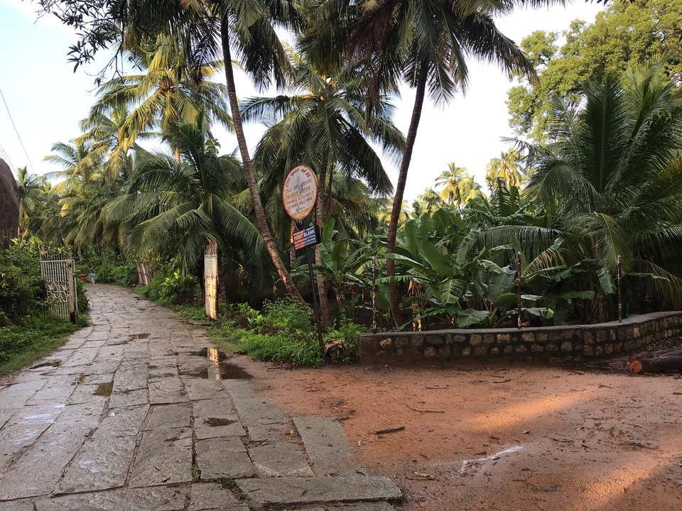 Photo of A Trip Full Of Hampiness #tripotocommunity by Mukesh Ramagoni