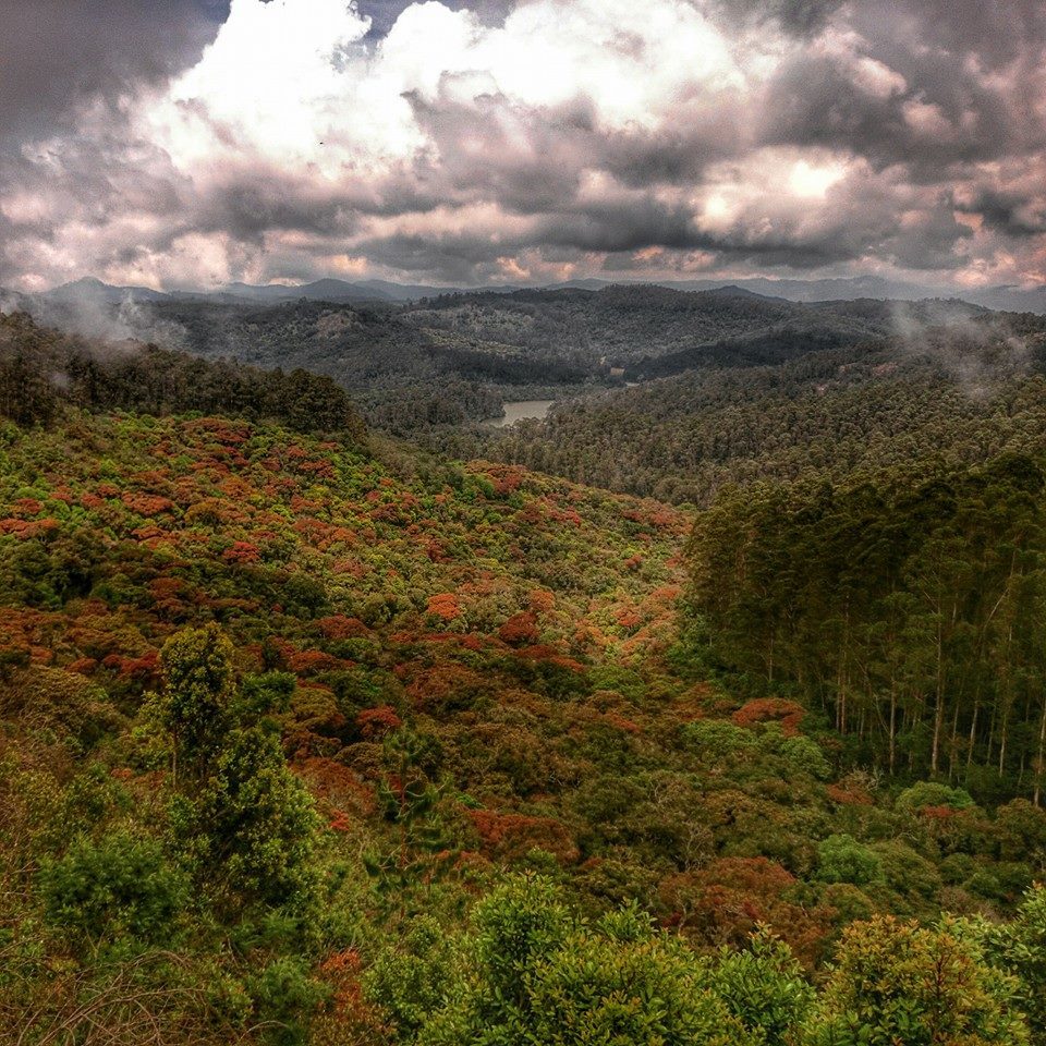 Photo of The Most Enchanting Hill Station In South India 2/22 by Solo Traveler Nafeesa