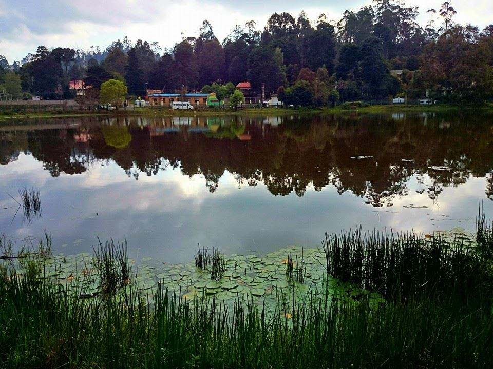 Photo of The Most Enchanting Hill Station In South India 3/22 by Solo Traveler Nafeesa