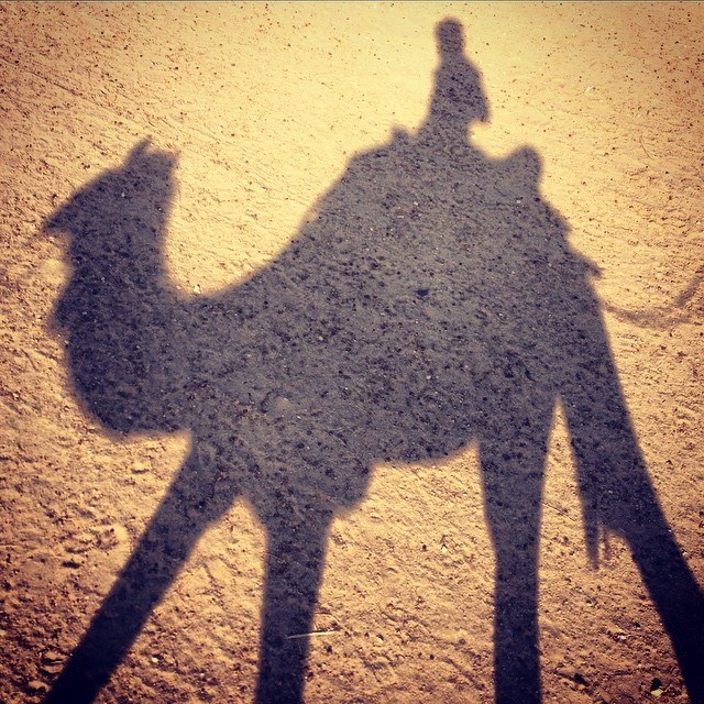 Photo of Inspiration that gave me the courage to backpack alone for 6 months in India 16/21 by Simon R Samuel