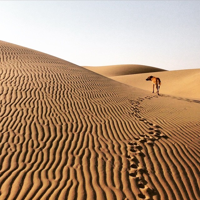 Photo of How I managed to quit my job and follow my dreams of backpacking the whole of India 23/36 by Simon R Samuel