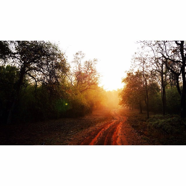 Photo of How I managed to quit my job and follow my dreams of backpacking the whole of India 7/36 by Simon R Samuel